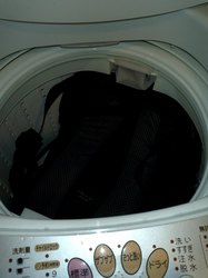 P1094530.JPG