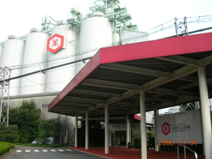 kikko01.JPG