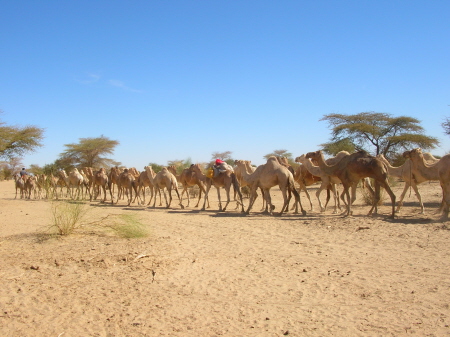 mali049.JPG