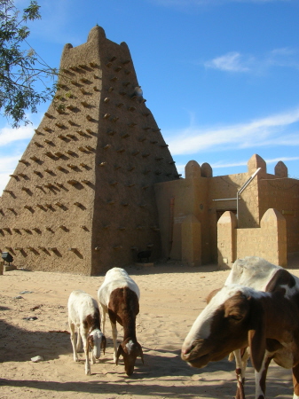 mali060.JPG