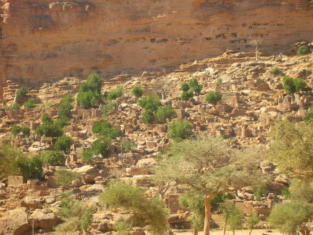 mali232.JPG