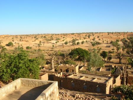 mali235.JPG
