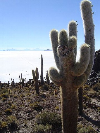 uyuni046.jpg